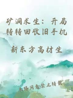 矿洞求生:开局转转回收旧手机