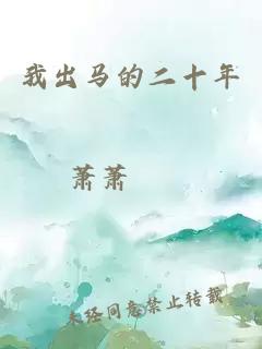 我出马的二十年